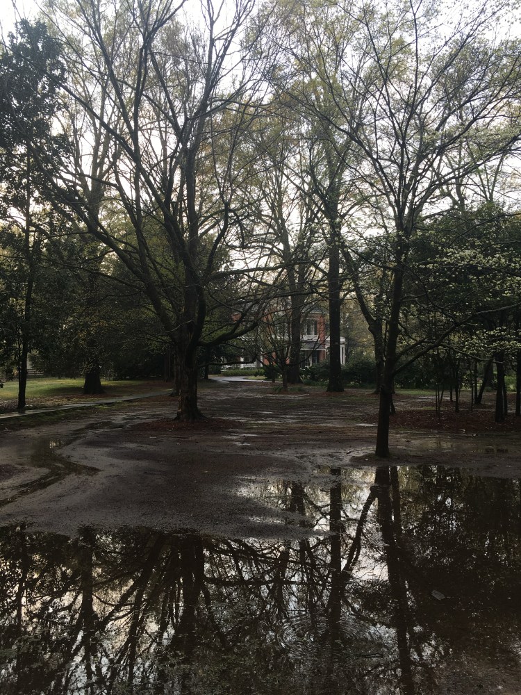 image_05733cc5-4648-464b-973d-3d824a27bb34.img_5131