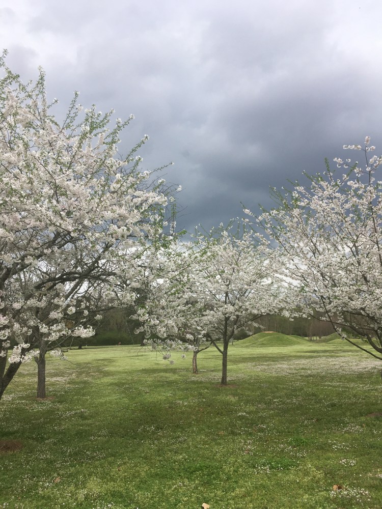 image_19e96282-3f9e-4aa4-8b81-63c7623d7358.60634444387__4bc0ebe7-c789-4e1d-8e64-3bea76aa82e7