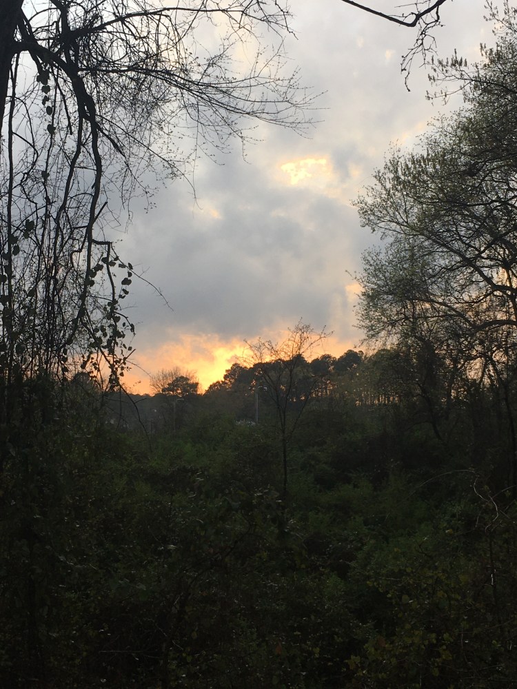 image_5804f007-2fff-4723-bada-231f6d811a9f.img_5133