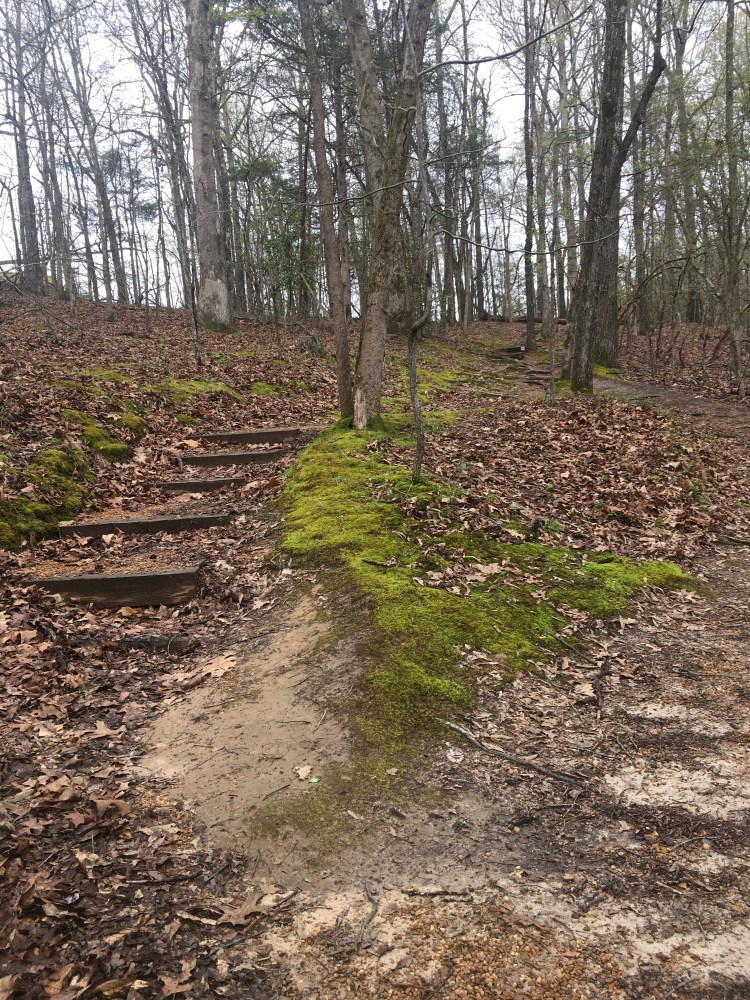 image_60a955ad-6151-428e-a92c-e488d6fe8c2e.img_5108