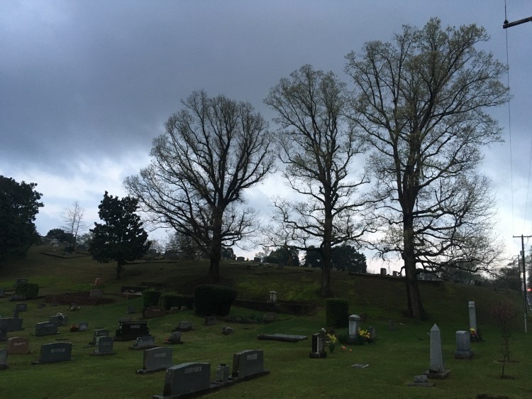 image_65392427-6f11-4dc6-8fa5-055f9e043749.img_5137