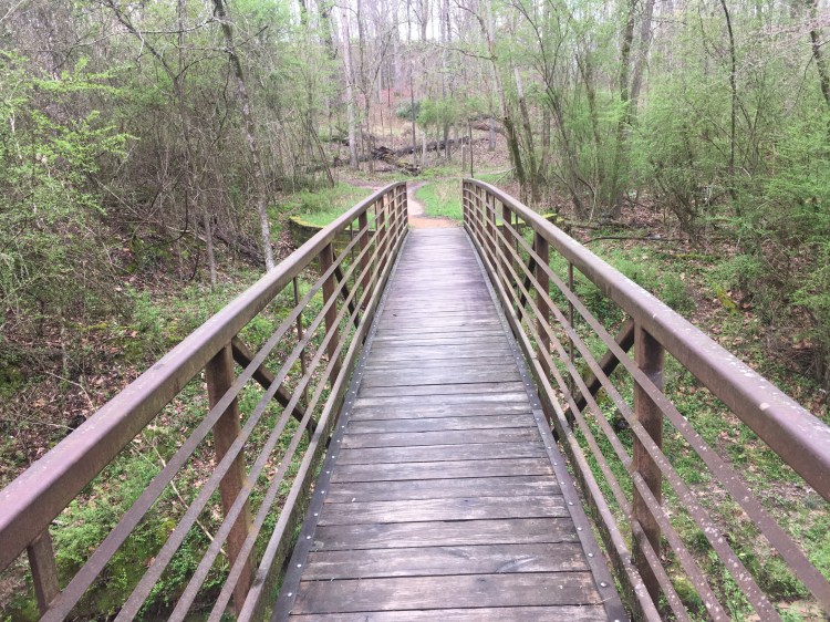 image_6d1af4c9-60d7-44a0-96f0-f912e561b3f5.img_5106