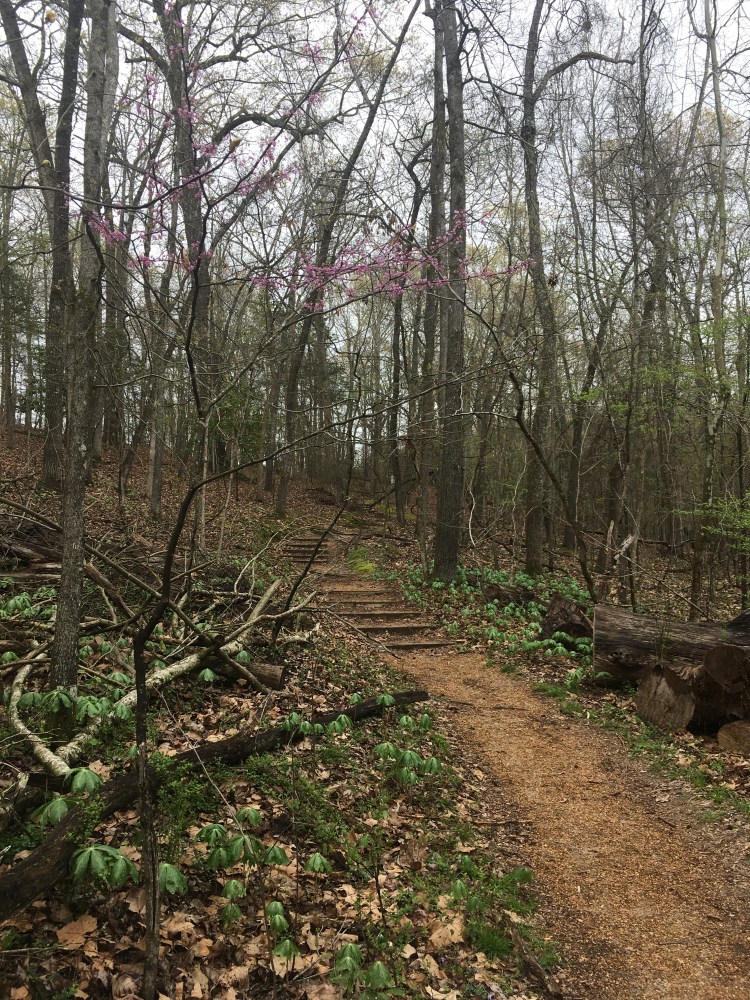 image_94db8558-aeb2-4d8b-9d50-e569d80e700f.img_5107