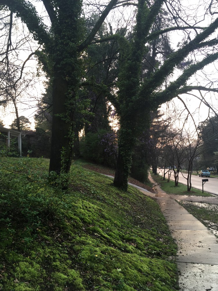 image_ed8bb5fb-53c7-4e02-847e-dc5da8395981.img_5134